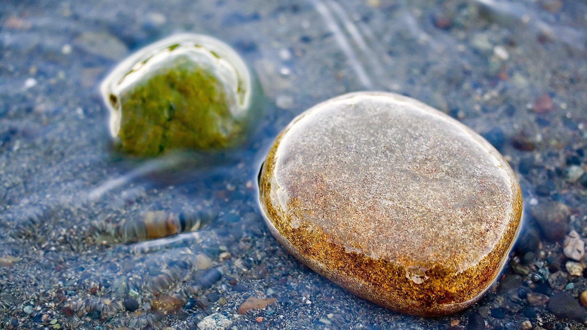 LIFE RESCUE FOUNDATION